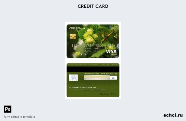 скачать цифровую версию шаблона карты Visa Classic для Румынии CEC Bank